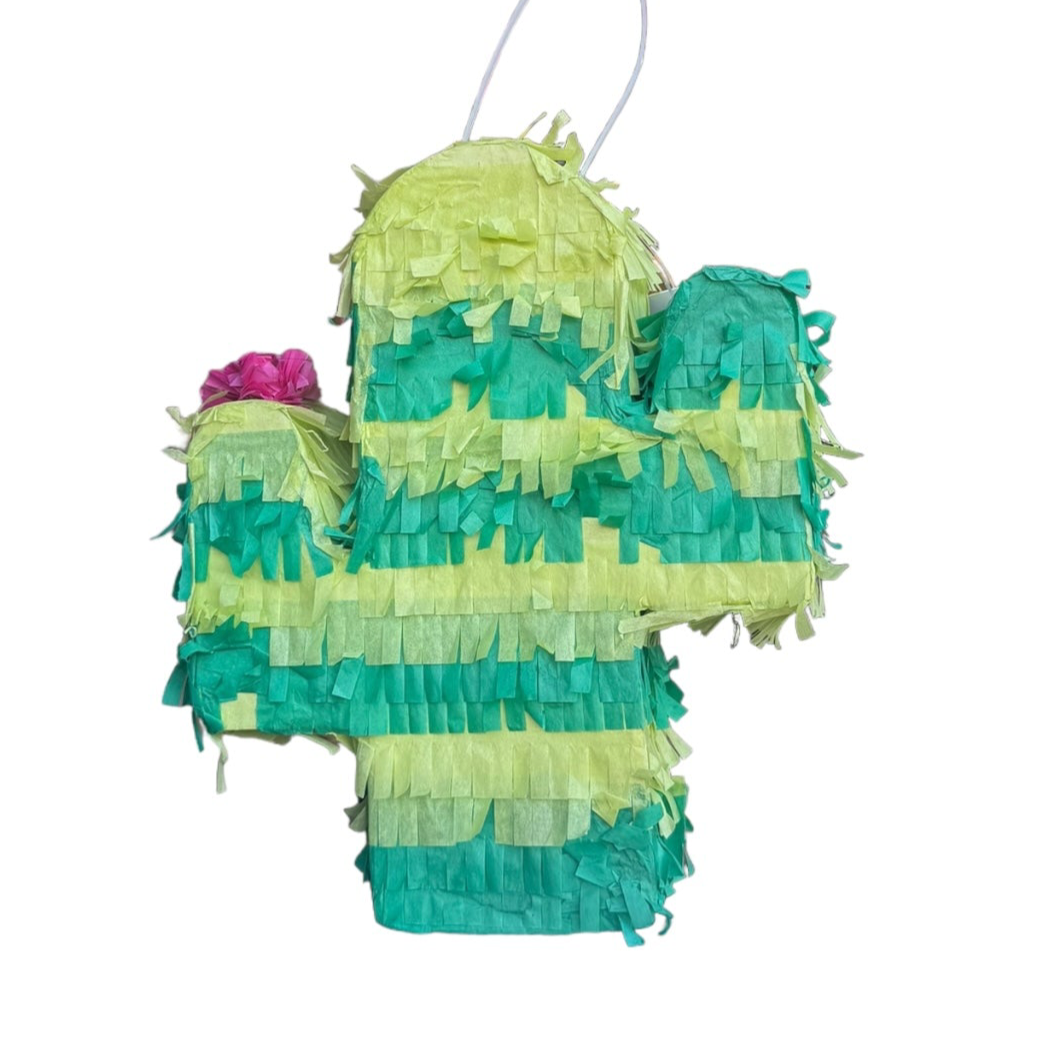 Mini Cactus Piñata
